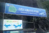 自然散策ツアー
