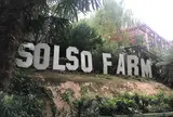 Solso Farm