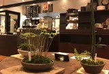 菜の花ムーンカフェ