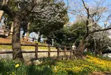 須和田公園