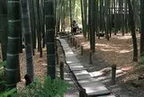 報国寺（竹寺）