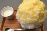 埜庵