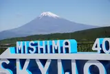 三島スカイウォーク