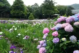 春日池公園