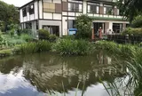 菖蒲池