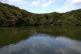 桜ケ池