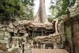 Ta Prohm（タ・プローム）