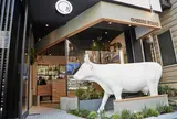 & CHEESE STAND