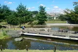 日本庭園「帰真園」