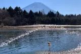 富士本栖湖リゾート