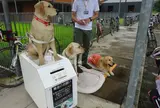 日本盲導犬総合センター