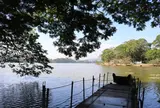 Kurunagala Lake