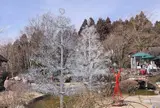 箱根ガラスの森美術館
