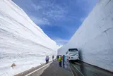 雪の大谷