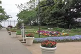 亀ヶ岡広場