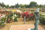 敷島公園ばら園