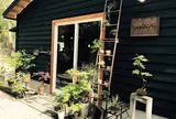 小さな緑のインテリア 苔屋