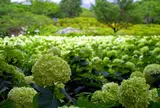 相模原北公園