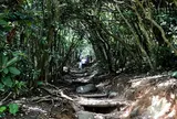 糸島のトトロの森