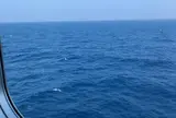 新日本海フェリー