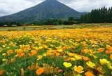 花の駅 生駒高原