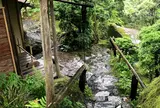 白雲洞茶苑
