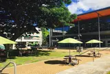 ハワイ大学 - マノア