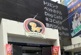 ペットショップCoo&RIKU 沖縄浦添店