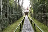 高桐院