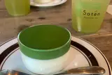 Satén japanese tea