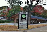 スターバックスコーヒー上野恩賜公園店