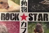 小動物カフェ ROCK STAR