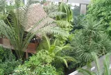 板橋区立熱帯環境植物館
