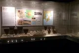 明治大学考古学博物館