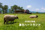 蔵王酪農センターチーズ工場