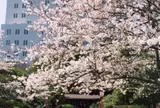 豊橋公園