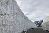 雪の大谷ツアー