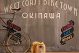 SHUHARI BIKE WORKS OKINAWA (自転車研究工房 守破離） 北谷町美浜 レンタサイクル オリジナルバイク制作