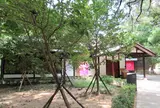湖畔生活