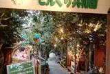 どんぐり共和国