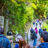 高尾山の一番人気の登山コース「自然研究路1号路」を紹介！