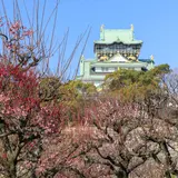 【大阪観光】2020年3月はここをチェック！
