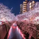 【東京観光】2020年4月はここをチェック！