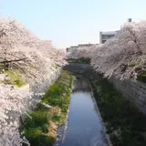 【名古屋観光】2020年4月はここをチェック！