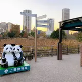 【上野動物園】ジャイアントパンダの観覧方法徹底ガイド