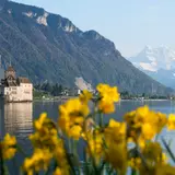 【スイス観光スポット紹介】人気のお土産や旅行に役立つ情報満載！おすすめスポット28選 