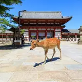 奈良県の新型コロナウイルス感染症対策と観光の最新情報（4月25日更新）