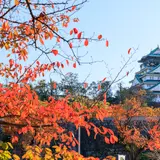 【大阪観光】2020年11月はここをチェック！