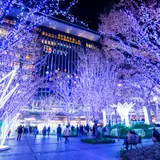【福岡観光】2020年12月はここをチェック！