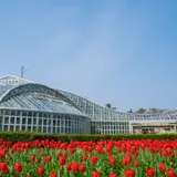 【2021年最新】京都でおすすめの植物園10選